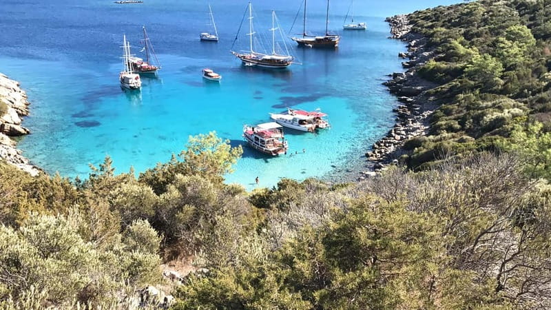 Bodrum: Boat Tour for Mein Schiff Cruise Passengers - Four bays, four chances to get in the water