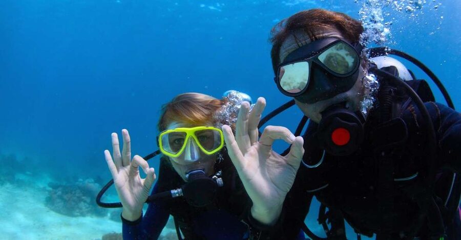Bodrum: Full-Day Scuba Diving Tour - Shallow sites filled with Aegean sea life