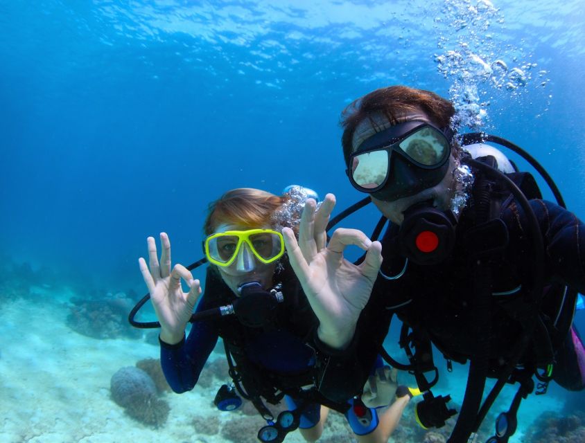 Bodrum: Full-Day Scuba Diving Tour - Booking details that can save you trouble