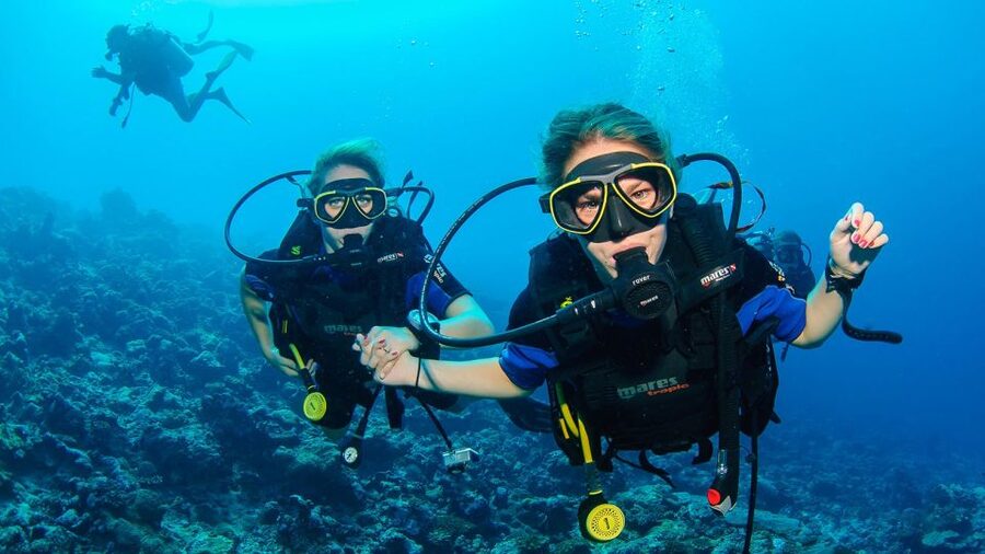 Bodrum: Full-Day Scuba Diving Tour - Getting ready with the English-speaking instructor