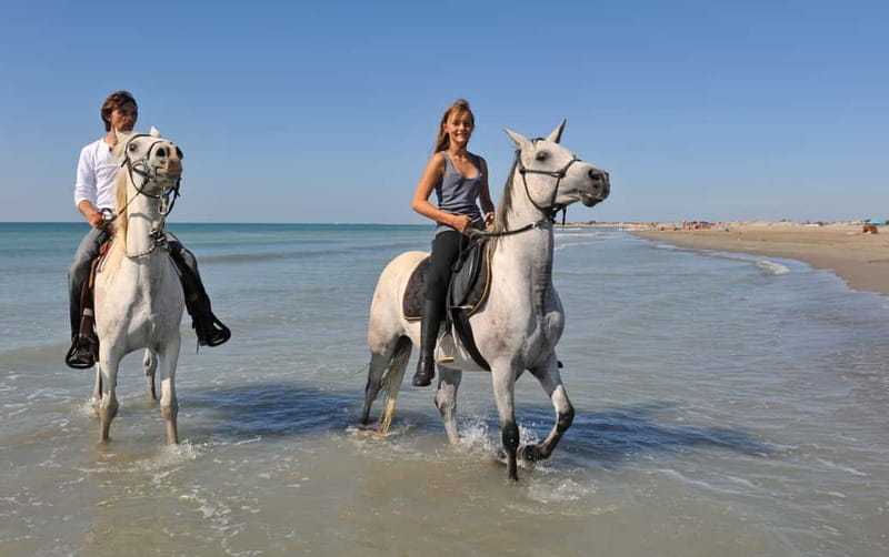 Bodrum: Horseback Riding Experience - Key points to know before you book