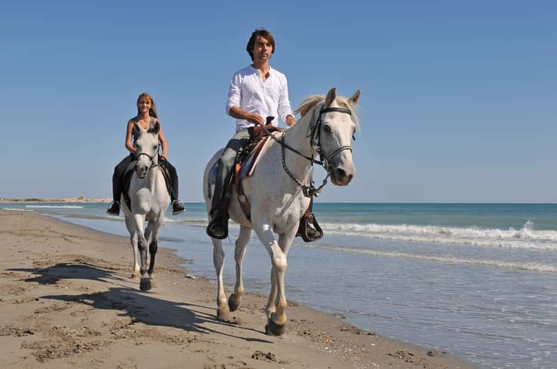 Bodrum: Horseback Riding Experience - Leaving Bodrum for the pine hills