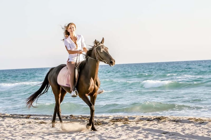 Bodrum: Horseback Riding Experience - Riding through forests and orange groves