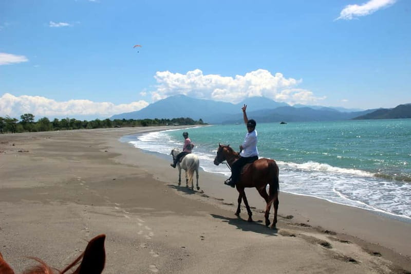 Bodrum: Horseback Riding Experience - A 15-minute introduction before you ride