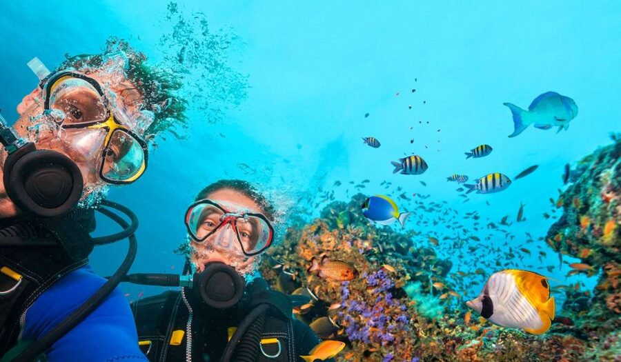 Bodrum: Scuba Diving Briefing & Diving Experience - The Briefing: Hand Signals, Breathing, and Confidence