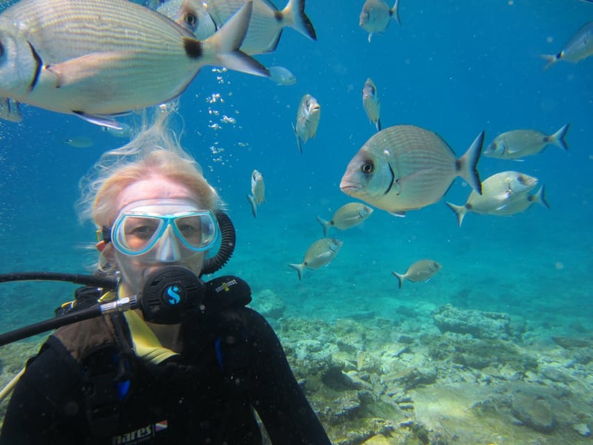 Bodrum: Scuba Diving Trip with Lunch - Clear water and a short route from Bodrum