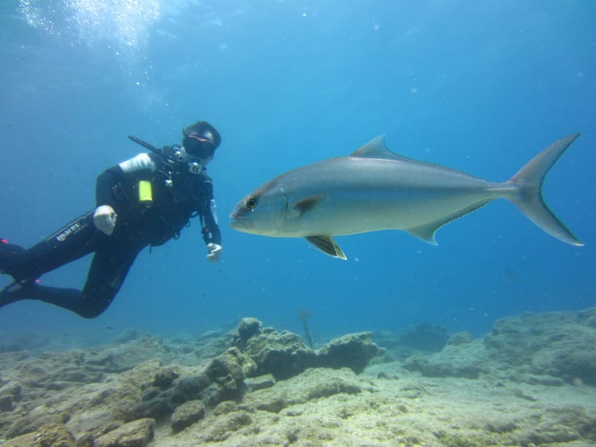 Bodrum: Scuba Diving Trip with Lunch - Instruction before entering the water