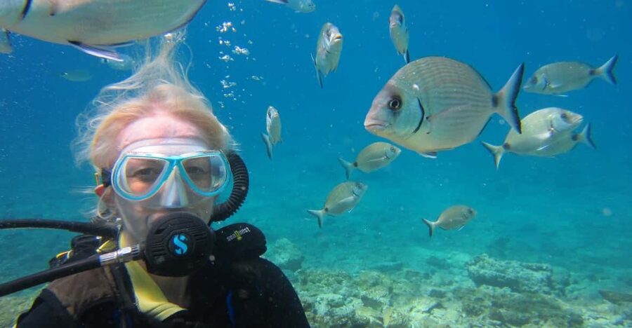 Bodrum: Scuba Diving Trip with Lunch - The roughly 25-minute underwater session