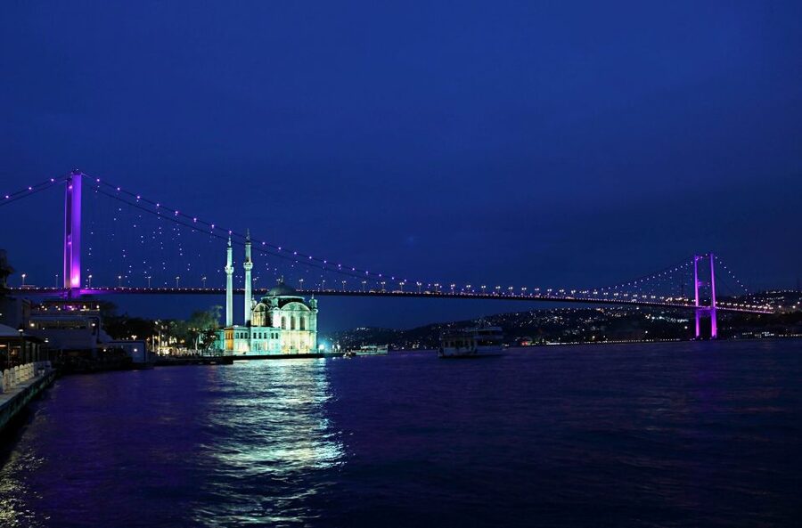 Bosphorus: Dinner Cruise with Live Performances Experience - Dinner choices: sea bass, meatballs, or chicken