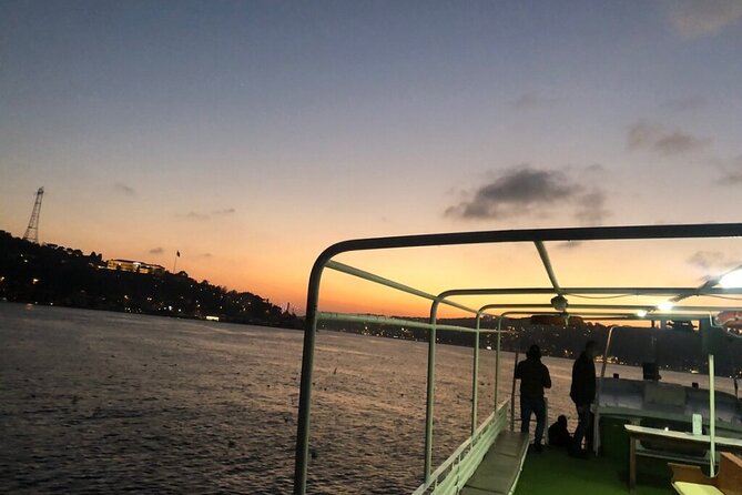 Bosphorus Explorer: 3-Hour Cruise with Asian Side Visit - Palaces and mosques along the European shore
