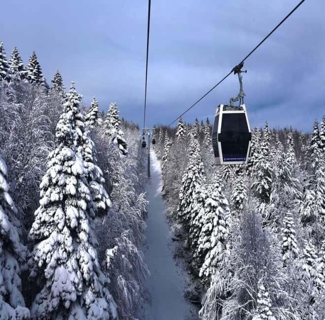 Bursa Nature Tour with Lunch & Cable Car (optional) - The old plane tree and Bursa’s slower side