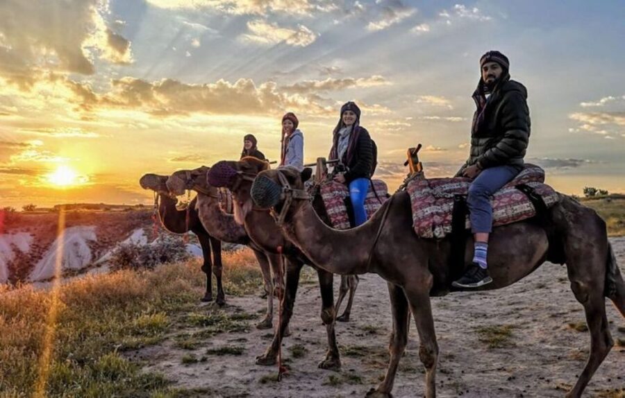 Camel Safari in Cappadocia - Practical Details Before You Book