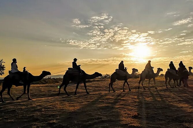 Camel Safari in Cappadocia - What Happens During the One-Hour Experience