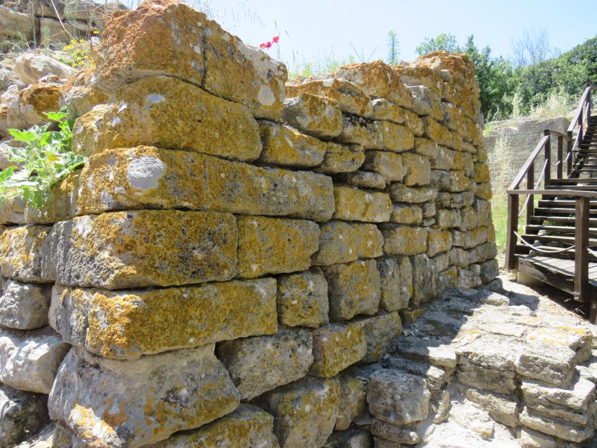 Canakkale: Full-Day Troy and Gallipoli Tour - Lone Pine, The Nek, and Chunuk Bair