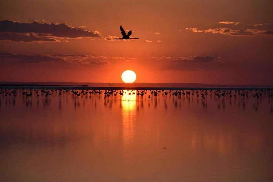 Cappadocia Amazing Sunset Tour To Salt Lake - My verdict on the Salt Lake sunset trip