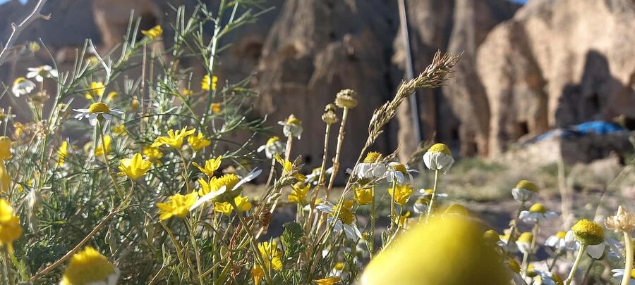 Cappadocia: Derinkuyu, Selime, Nar Crater Lake & Ihlara Tour - Lunch and a walk in Ihlara Valley
