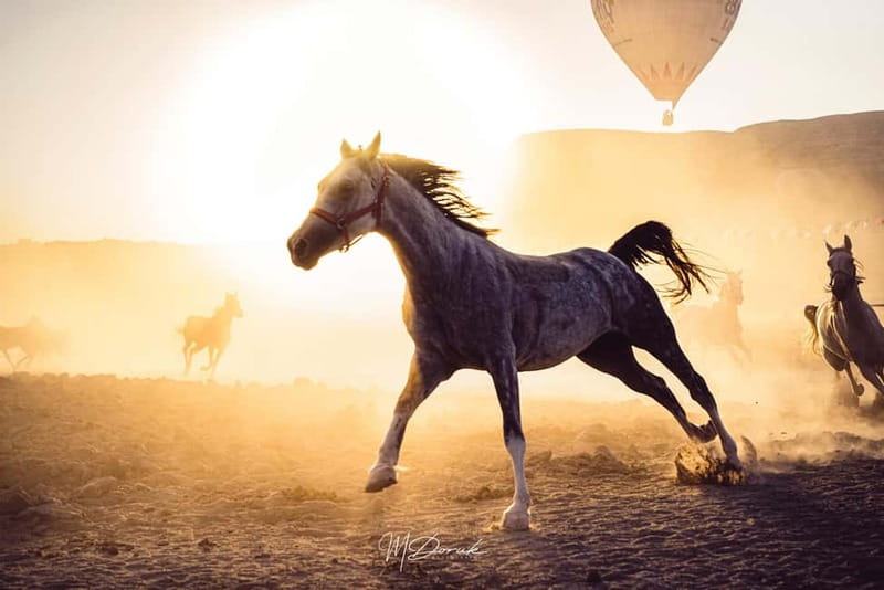 Cappadocia: Fascinating Horse Tour in Göreme Valleys - Key points to know before you saddle up