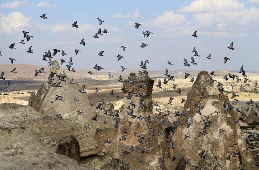 Cappadocia Green Tour (Includes lunch and museum tickets) - Ihlara Valley Brings the Day Outdoors
