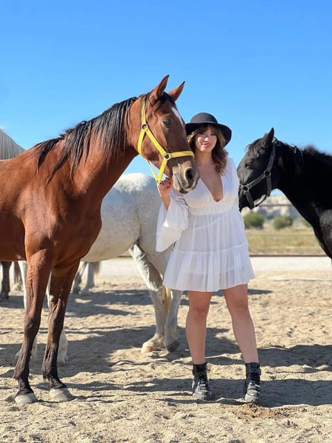Cappadocia: Horseback Tour with Sunrise and Sunset Options - Calm horses and careful guidance