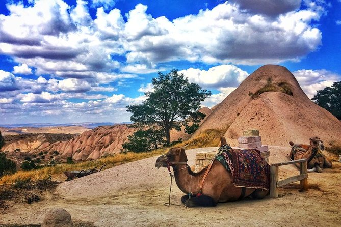Cappadocia Red Tour (Pro Guide, Tickets, Lunch, Transfer incl) - Uçhisar Castle, the best opening view