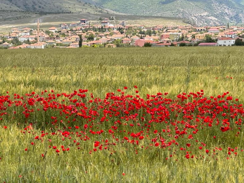 Cappadocia: Shared/Private Tour with Lunch - Guide languages, shared groups, and private bookings