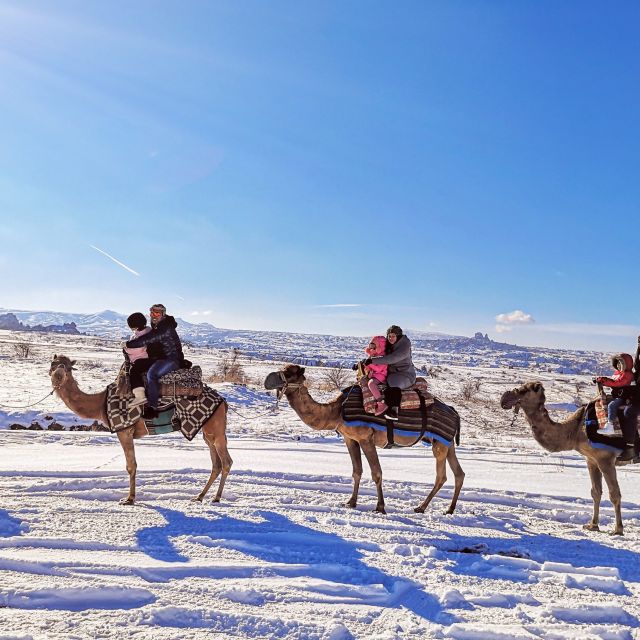 Cappadocia: Sunset or Sunrise Scenic Camel Ride - What the camels and guides are like