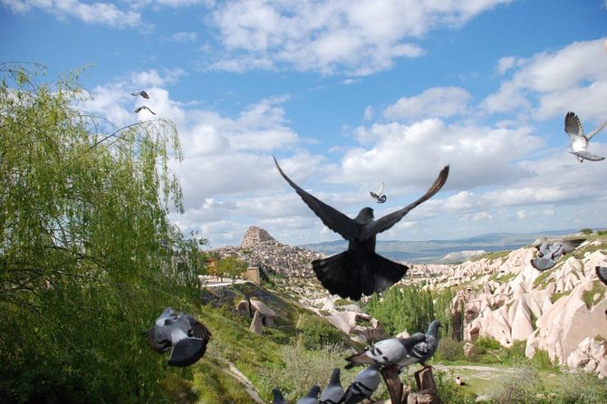 Cappadocia Tour - Pasabag and the fairy chimneys