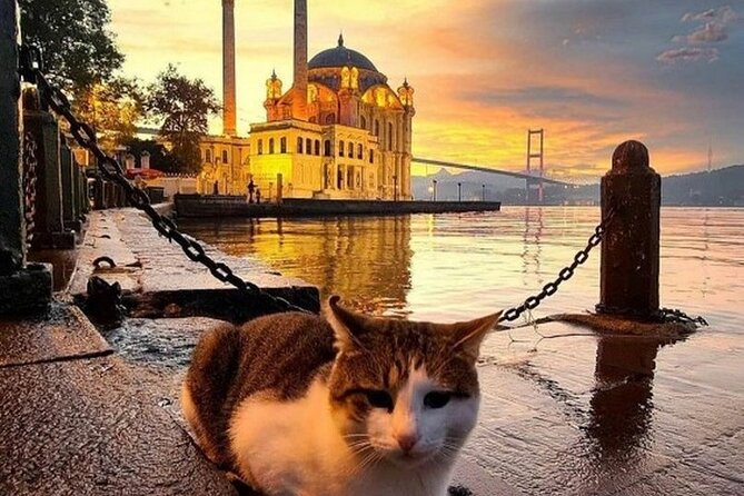 Circle Istanbul (Extraordinary Istanbul) - Karaköy, baklava, and the waterfront