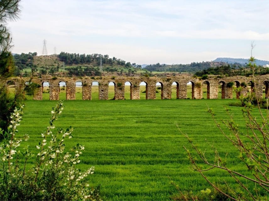 City of Side: Mix Tour History, Nature, Culture Mosque Visit - The orange grove and fresh juice