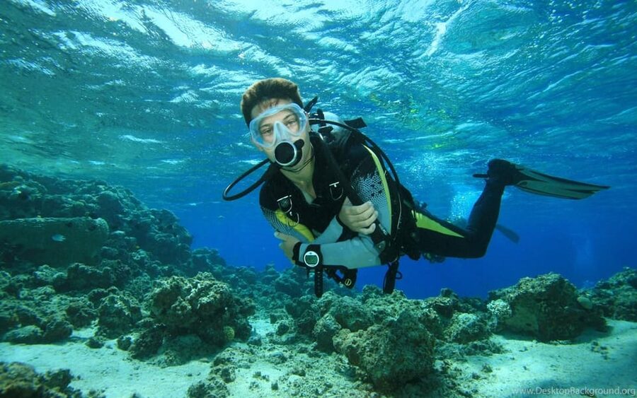 Diving Tour from Alanya & Side with Lunch - 2 Dives Included - A Practical Boat Day, With Lunch Between Sessions