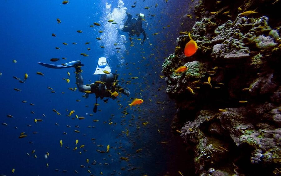 Diving Tour from Alanya & Side with Lunch - 2 Dives Included - Is $52 Good Value for Two Sessions?