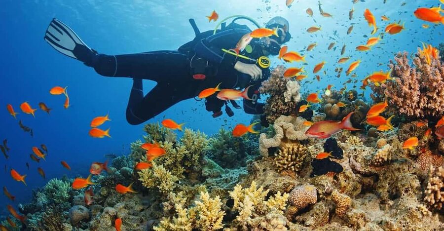 Diving Tour from Alanya & Side with Lunch - 2 Dives Included - What to Pack for the Boat