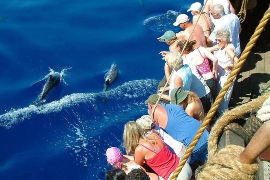 Explore Alanya's Beauty Catamaran Boat Tour - Lovers’ Cave brings a quieter final highlight