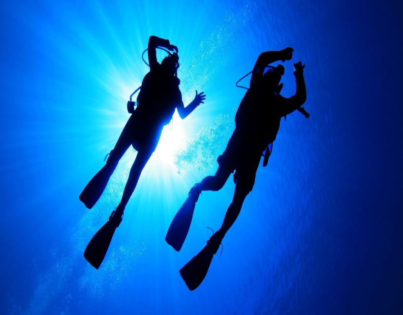 Fethiye: 2 Guided Scuba Dives with Lunch and Hotel Transfers - Key points at a glance