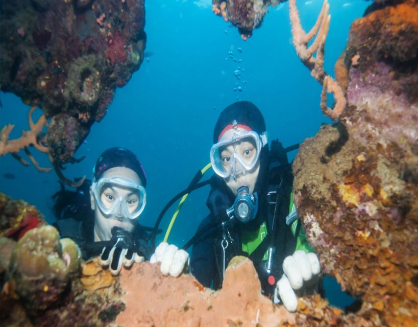 Fethiye: 2 Guided Scuba Dives with Lunch and Hotel Transfers - What your day around Fethiye looks like