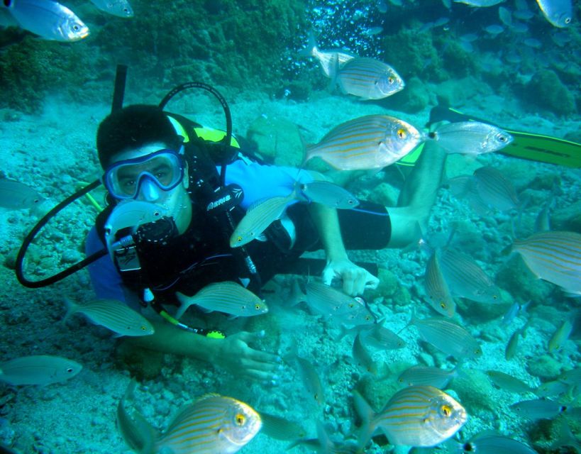 Fethiye: 2 Guided Scuba Dives with Lunch and Hotel Transfers - How much value do you get for $70?
