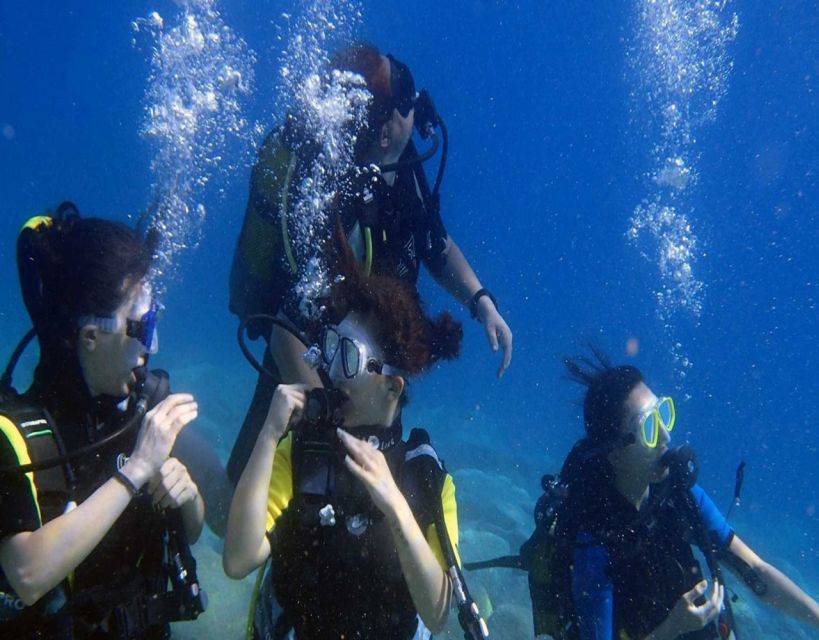 Fethiye: 2 Guided Scuba Dives with Lunch and Hotel Transfers - Who should book this Fethiye scuba outing?