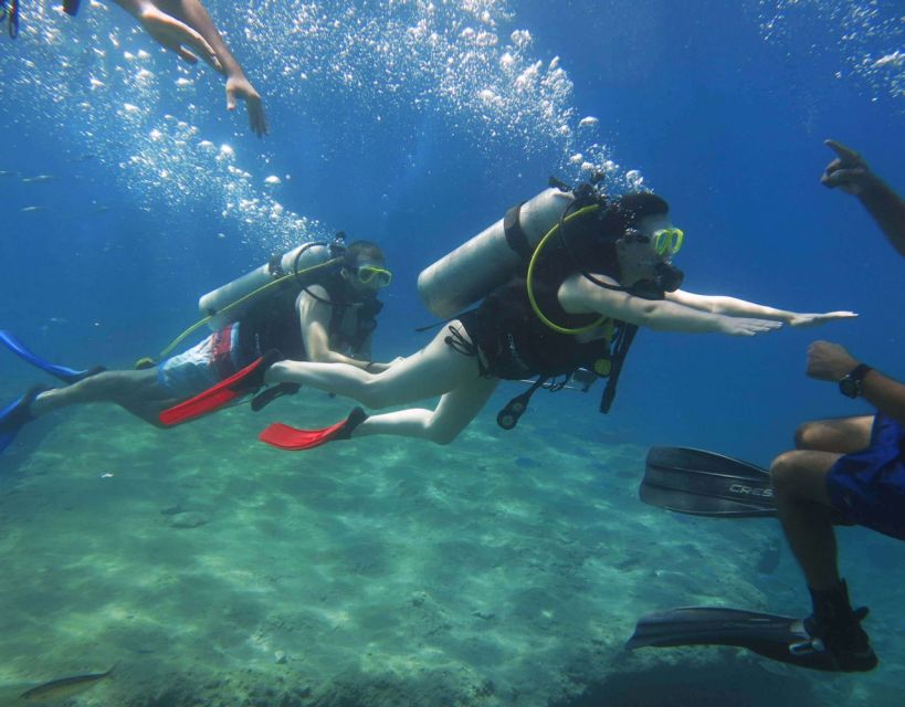 Fethiye: 2 Guided Scuba Dives with Lunch and Hotel Transfers - Should you book it?