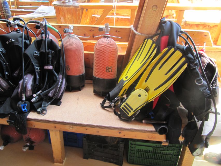 Fethiye: Professional Scuba Diving with Lunch - What the Fethiye boat day is really like