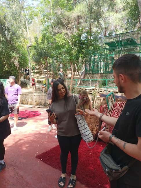 From Alanya: Lion Safari & Green Canyon Splash Feast w/Lunch - Key points at a glance