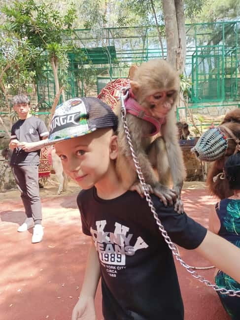 From Alanya: Lion Safari & Green Canyon Splash Feast w/Lunch - The guide, group mood, and practical comfort