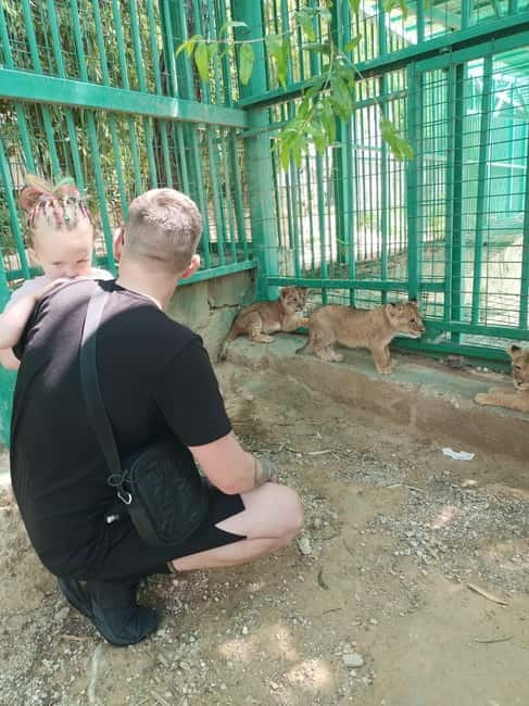 From Alanya: Lion Safari & Green Canyon Splash Feast w/Lunch - Who will enjoy this day most
