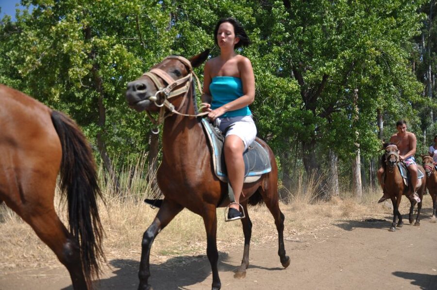 From Bodrum/Gümbet: Guided Horseback Riding Expereince - Hotel transfers from Bodrum and Gümbet