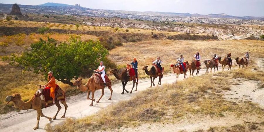From Cappadocia: Sunrise or Sunset Camel Riding Day Trip - Choosing sunrise over sunset