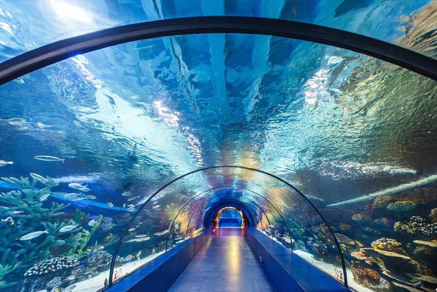 From City of Side: Antalya Aquarium Tour, Ticket & Transfer - Kalpuzkaldıran Waterfall and the 30-minute photo stop