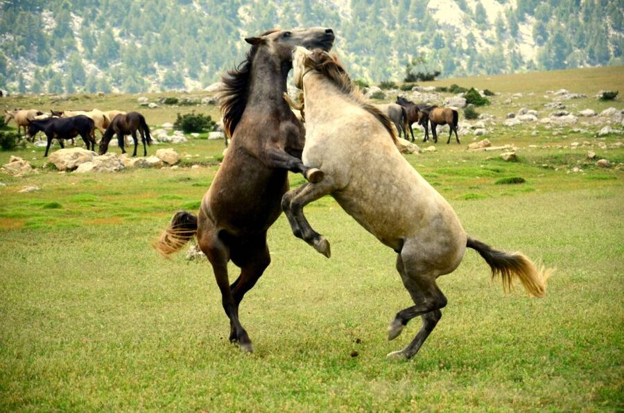 From city of Side: Ormana Village Day Tour with Lunch - From Side to the high Taurus Mountains