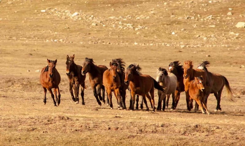 From City of Side: Visit to Ormana Village & Altinbesik Cave - Sarihacilar, the Silk Road, and a 650-year-old mosque