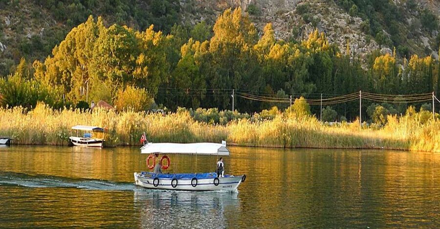 From Fethiye: Dalyan Day Trip with Mud Bath and Turtle Beach - Key points to know before booking
