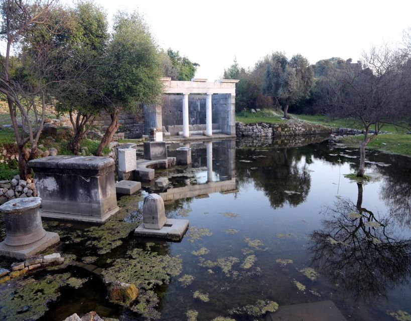 From Fethiye: Dalyan Day Trip with Mud Bath and Turtle Beach - Guide quality and the rhythm of the day