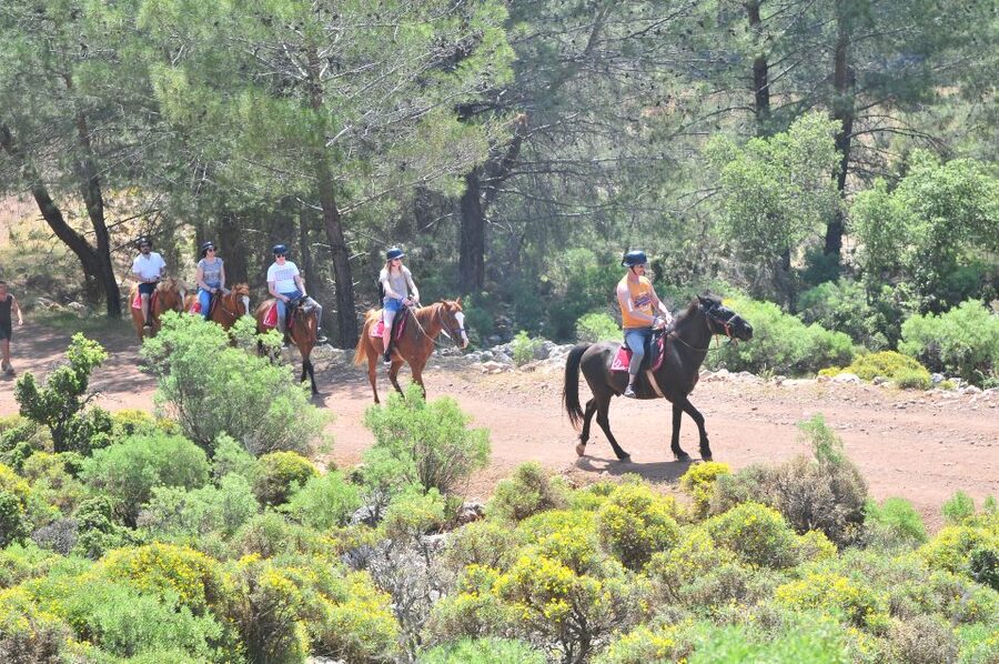 From Fethiye: Horse Riding Adventure - Key points to know before you ride